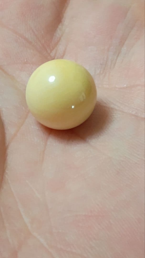 マッコウ鯨 牙玉 鯨歯玉 標本 緒締 根付 大約12.9㎜