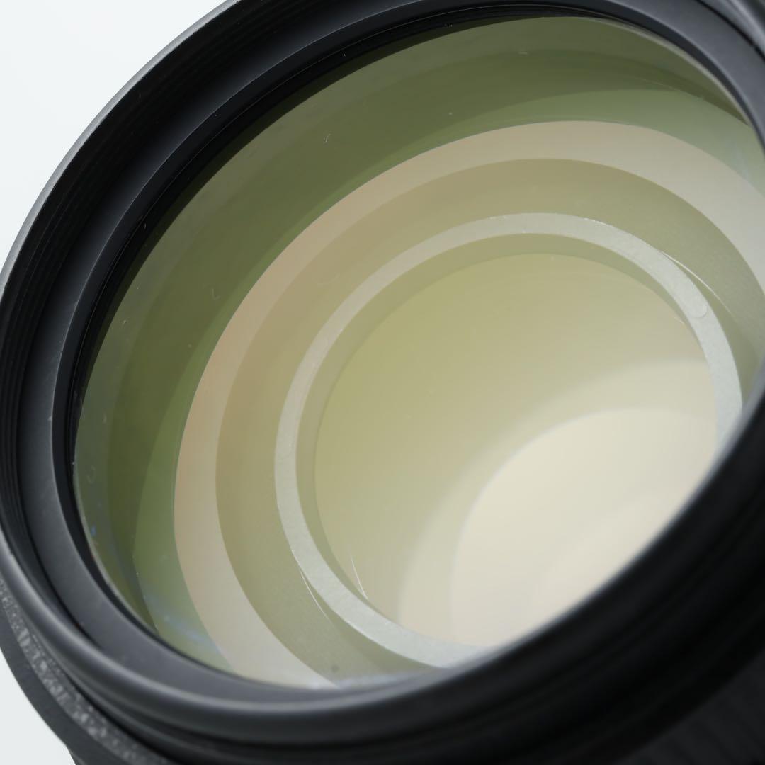 3129 ★AF-S 55-300mm★NIKONニコン★手ぶれ補正付き超望遠