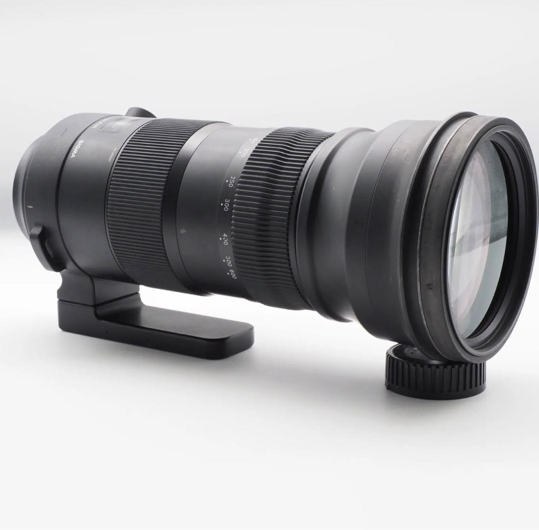 SIGMA 150-600mm Sports 大セール‼️