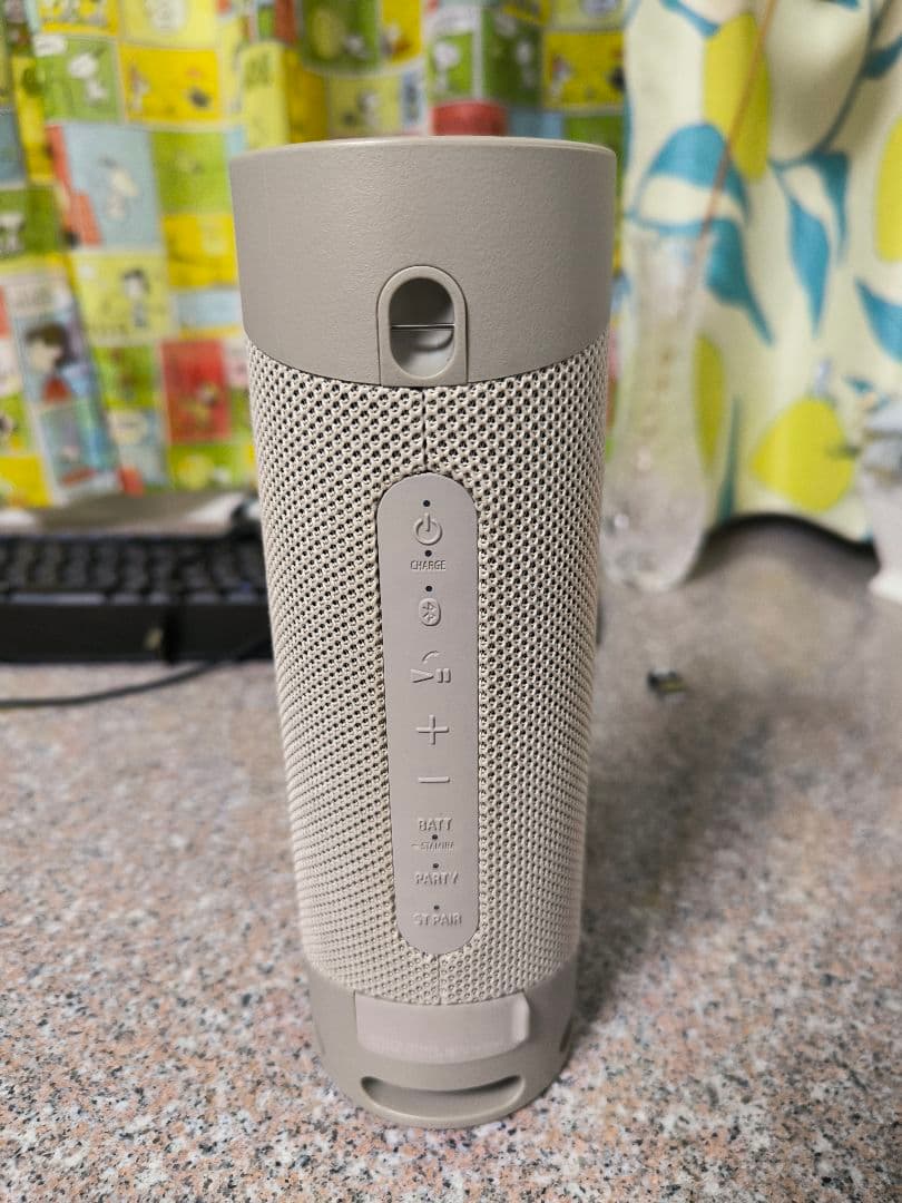 SONY ワイヤレススピーカー ベージュ