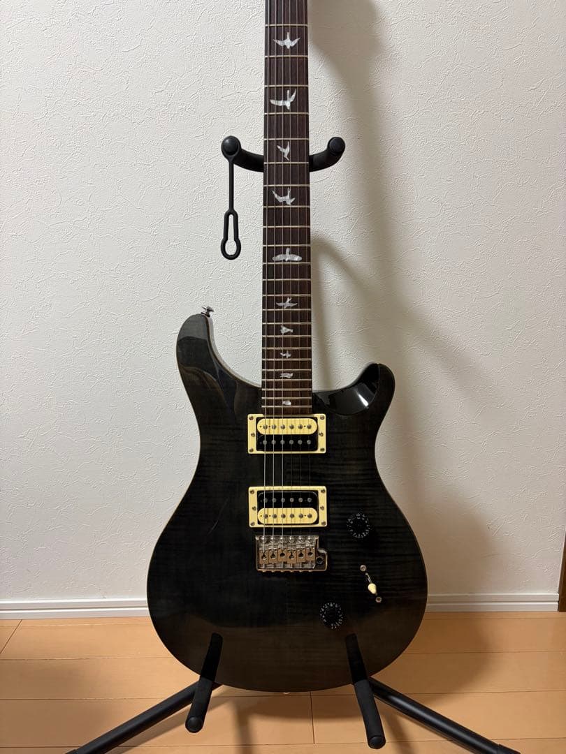 PRS SE Custom24 グレーブラック