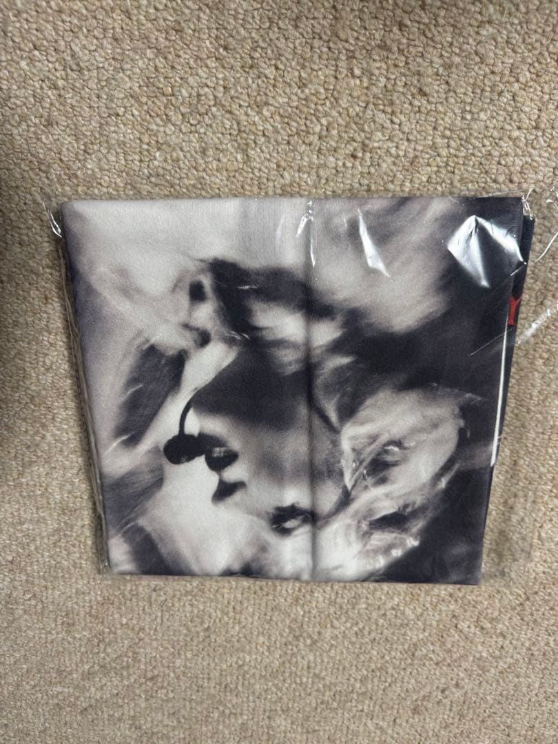 レディガガ　東京公演　Lady Gaga VIP GOLD グッズ　セット