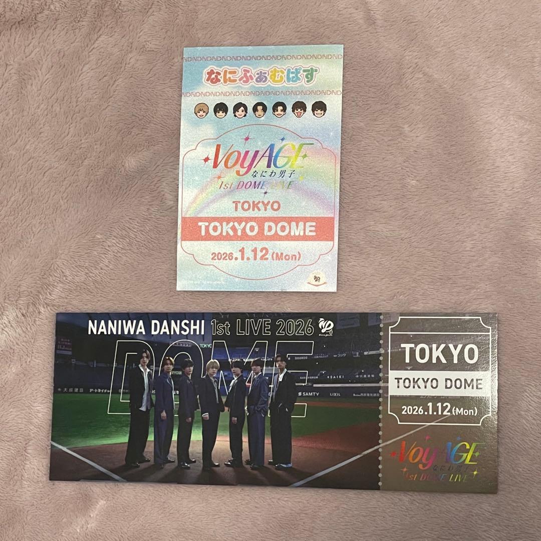 1/12 VoyAGE 東京ドームなにふぁむばす ステッカー チケット型カード