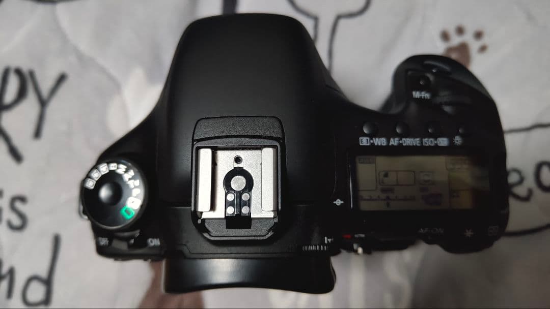 Canon EOS 7D 本体 + 付属品　極上美品 ショット数少い値下しました