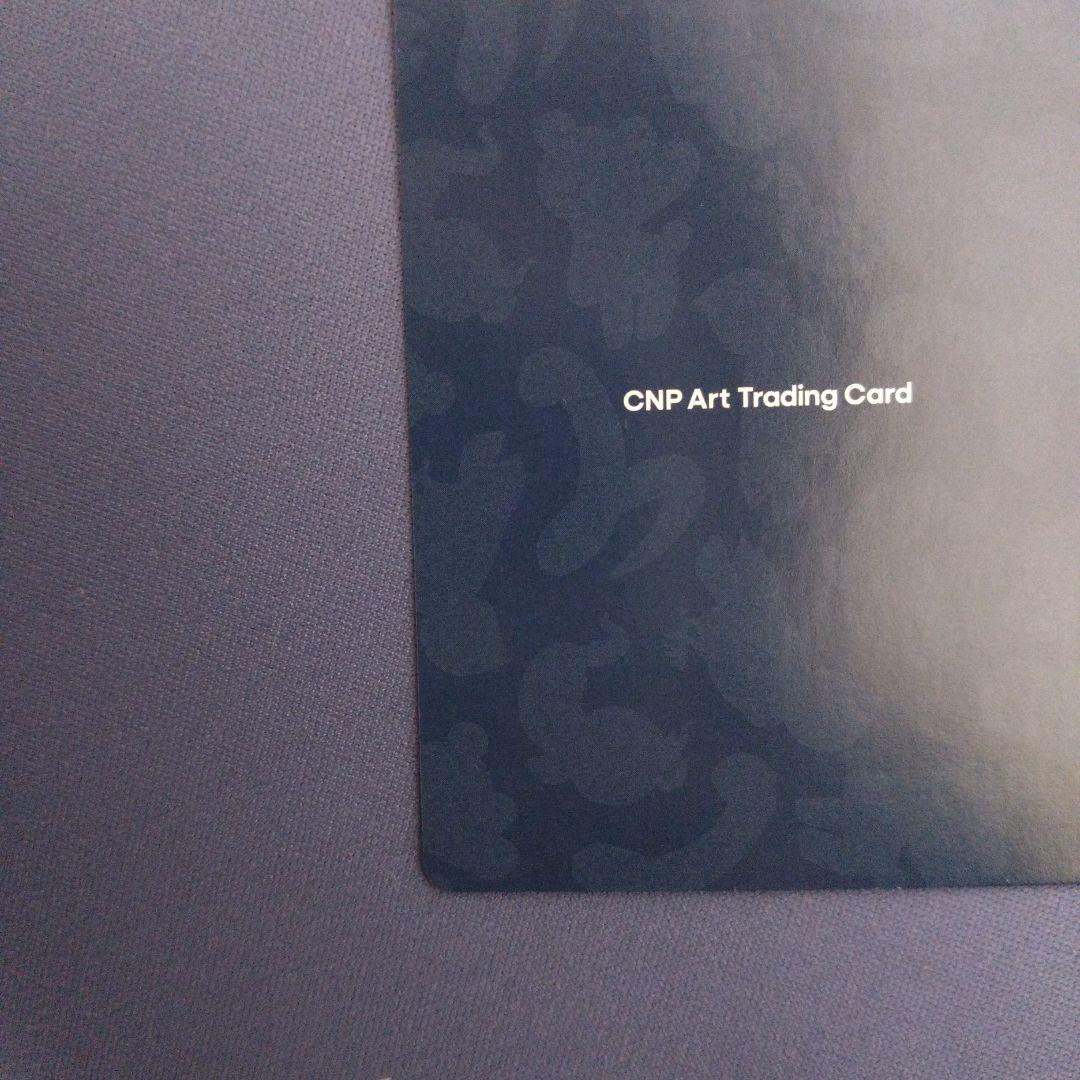 CNPアートトレカβ版　シークレット〈EX〉　SSR　CNP　トレカ　①
