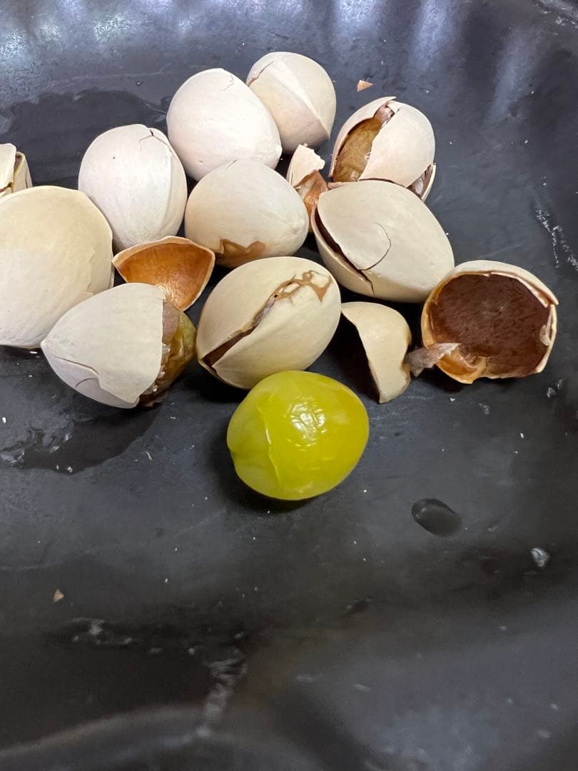 【新品】マイクロ波対策！電子レンジ専用小判型！使い勝手良いとリピートする方多数！