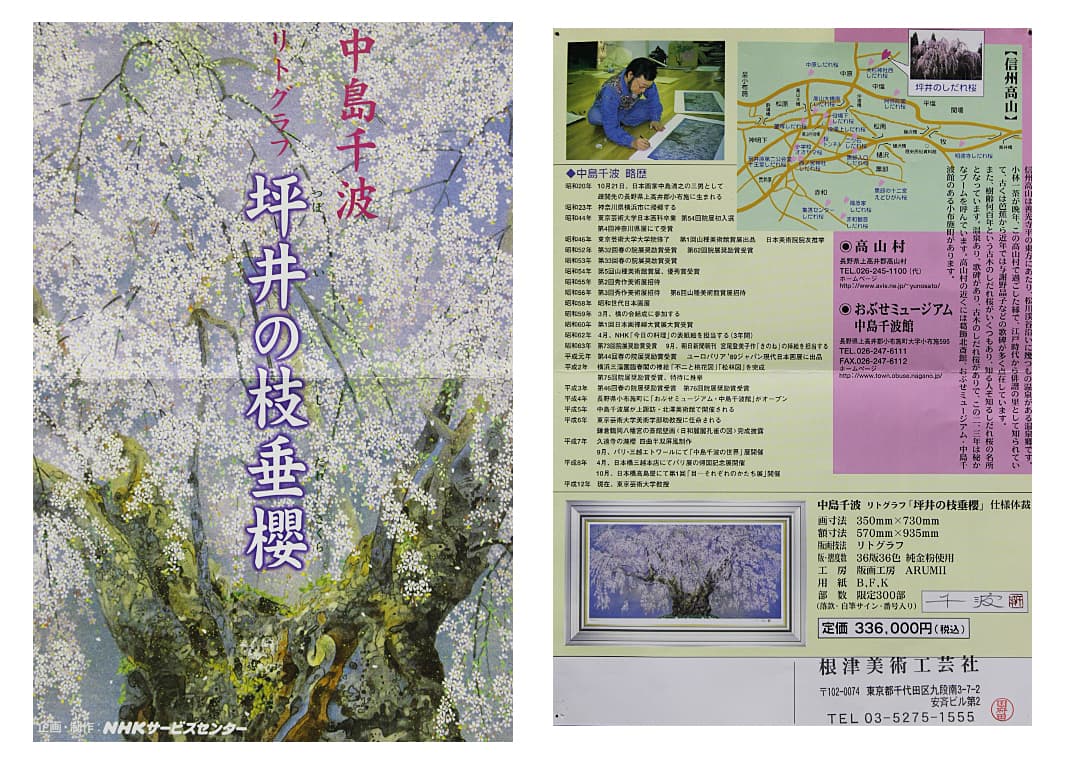 中島千波 【坪井の枝垂櫻】 リトグラフ