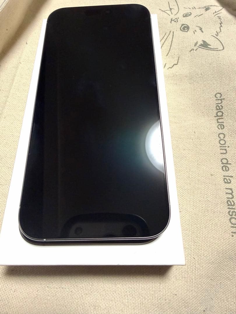 【バッテリー最大容量100%】iPhone 16 Pro Max256GB