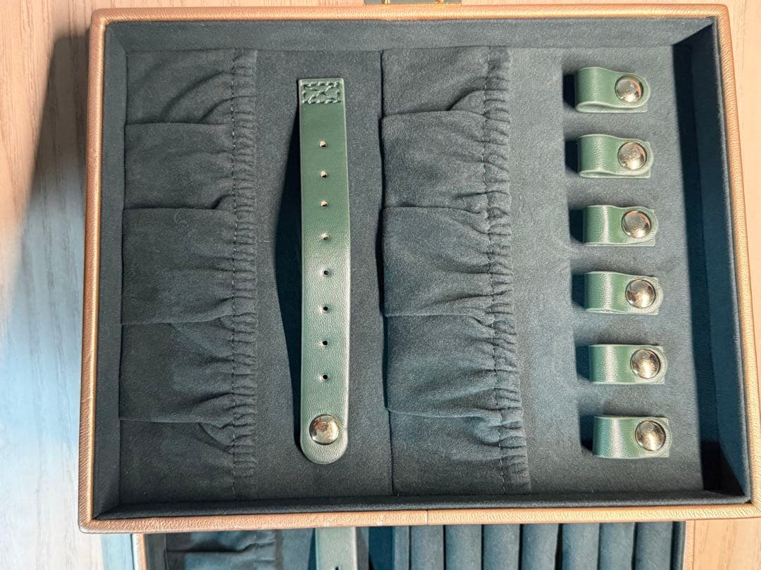 アナ雪　Francfranc ジュエリーケース