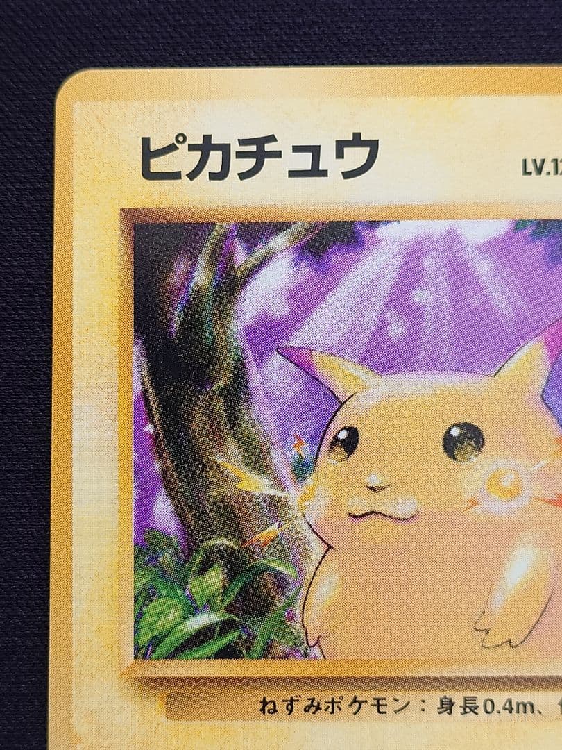 ピカチュウ　かじる　旧裏　拡張パック第1弾