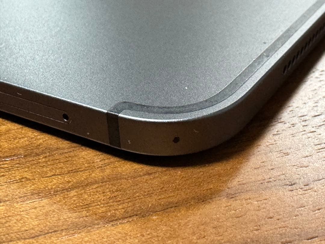 iPad Pro (11) Wi-Fi + Cellular SIMフリー