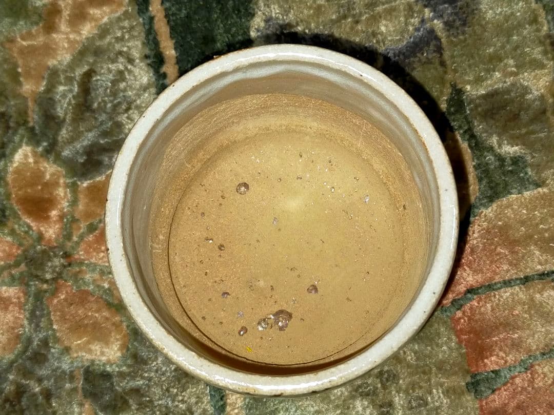 未使用　井上東也　唐津　火入れ　①　共箱付き　湯呑み　湯飲み