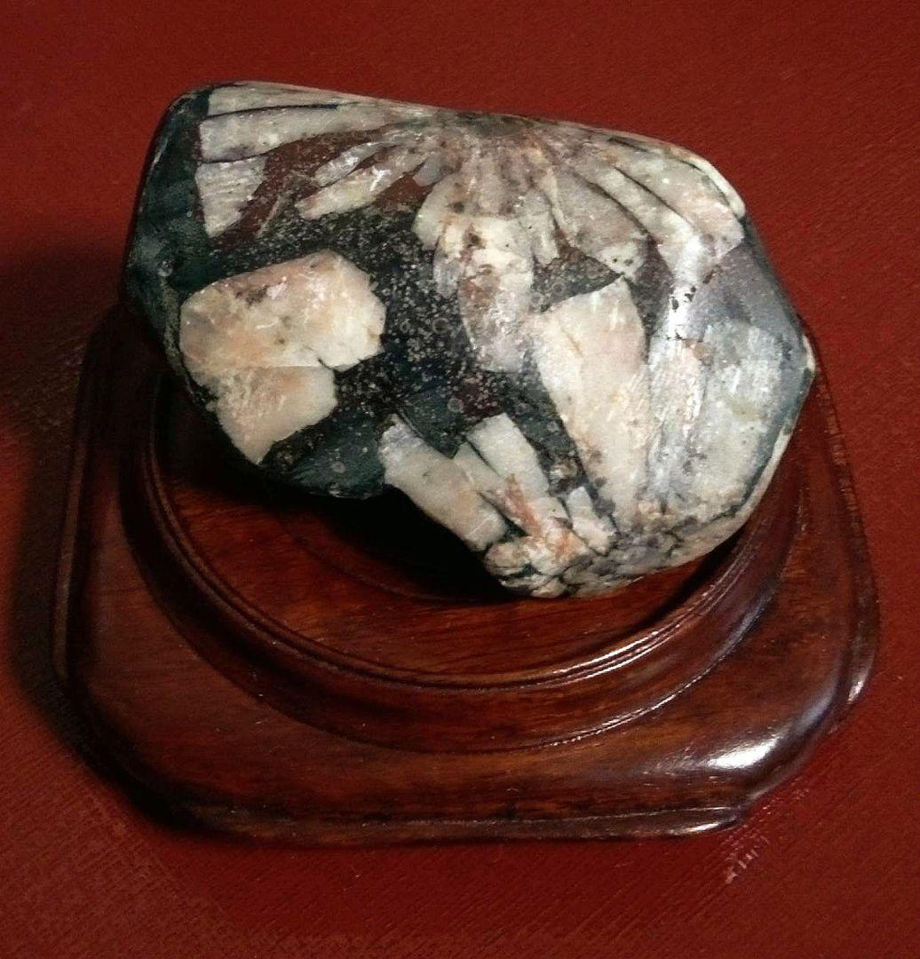 菊花石　岐阜県根尾谷産