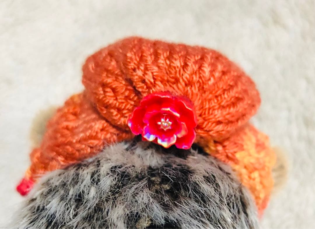 海外作家様　ハンドメイド　ぬいぐるみ　ハリネズミ　帽子付き