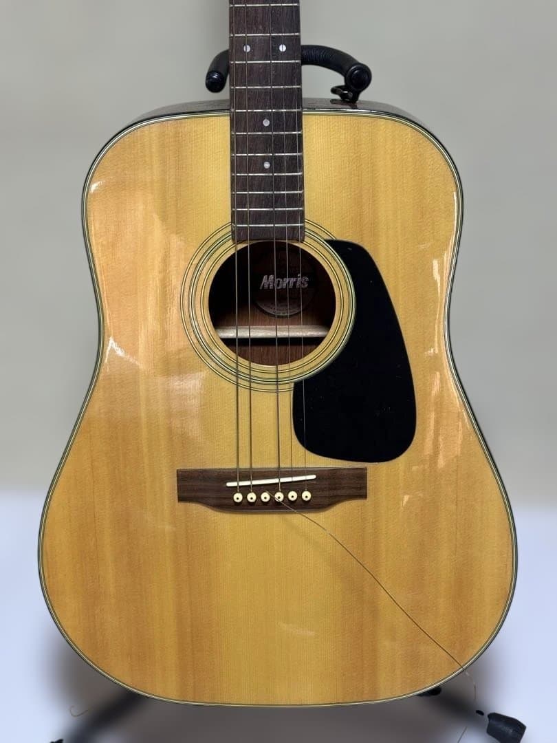 Morris アコースティックギター
