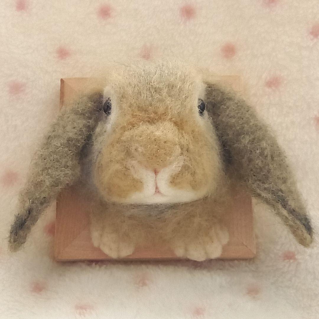 専用出品 うさぎフレーム うちのこ オーダーメイド 羊毛フェルト ハンドメイド