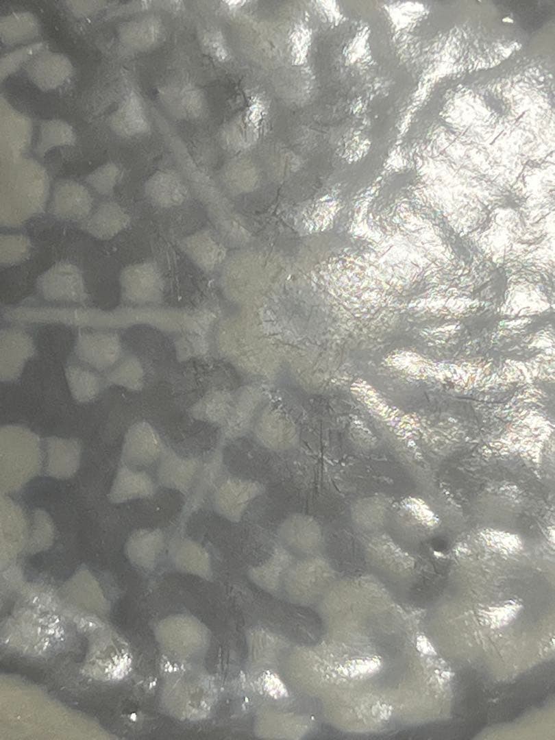 中国骨董品？古い染付 、古い青と白の花柄ボウル 旧家蔵出し （澄んだ声）