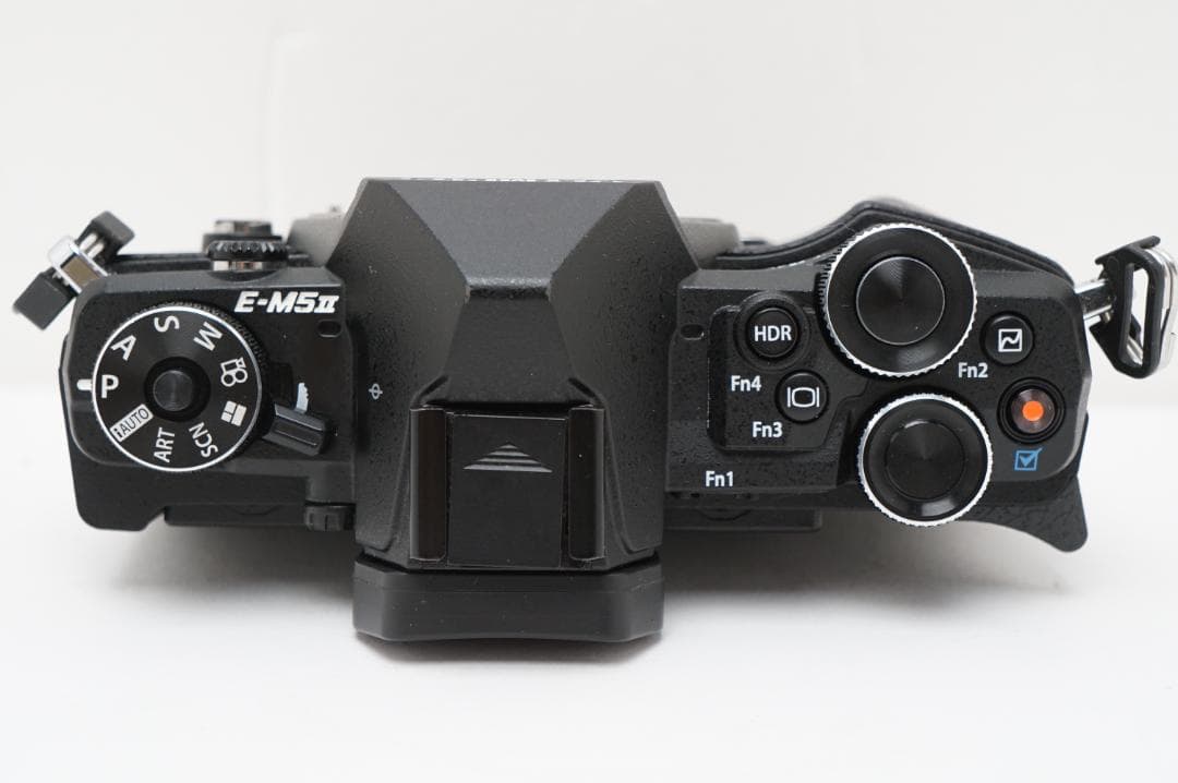 ＜ジャンク扱い＞ OM-D E-M5 MarkII ボディー
