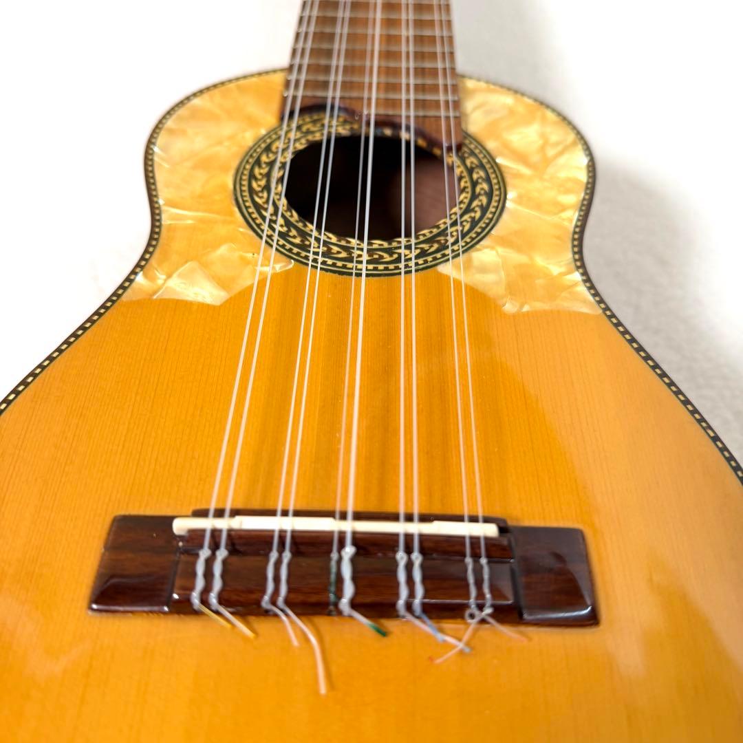 Acha アチャ チャランゴ ボリビア 弦楽器 ケース付き