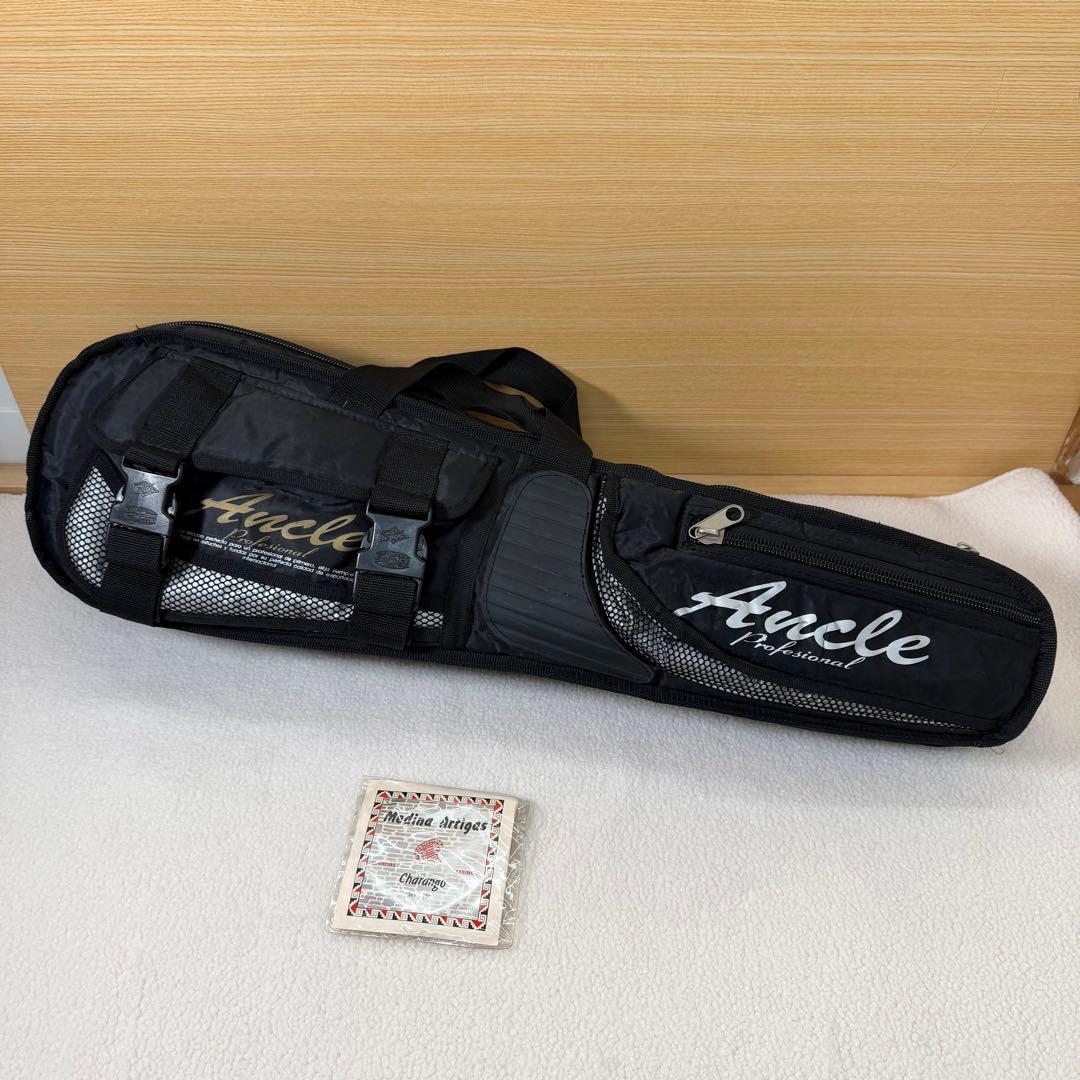 Acha アチャ チャランゴ ボリビア 弦楽器 ケース付き