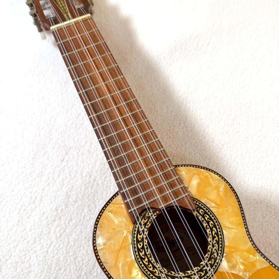 Acha アチャ チャランゴ ボリビア 弦楽器 ケース付き