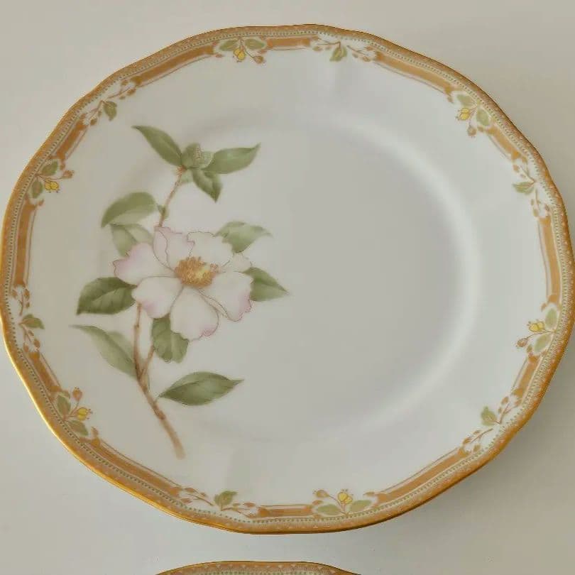 ノリタケ 18cm プレート ケーキ皿 4枚 ガラコンテッサ Noritake