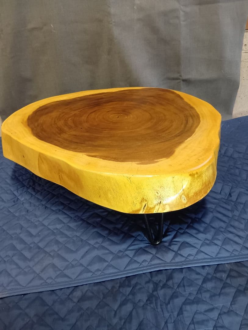 ★高級レア！【モンキーポッド】 輪切り 一枚板テーブル ローテーブル 座卓