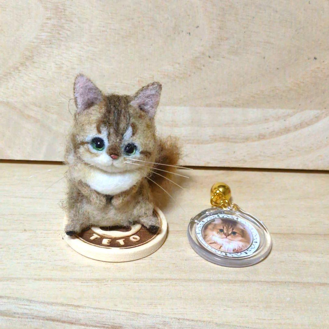 苔アートmana出品 豆猫PECO-LIN
