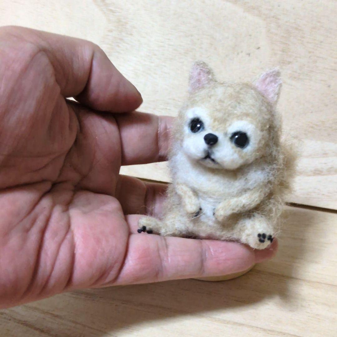 苔アートmana出品 豆猫PECO-LIN