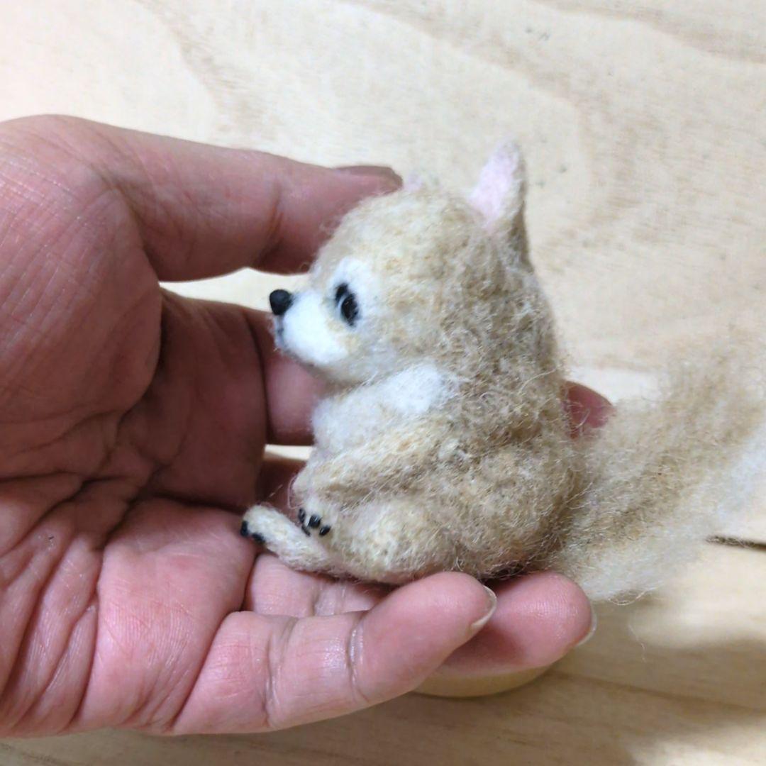 苔アートmana出品 豆猫PECO-LIN