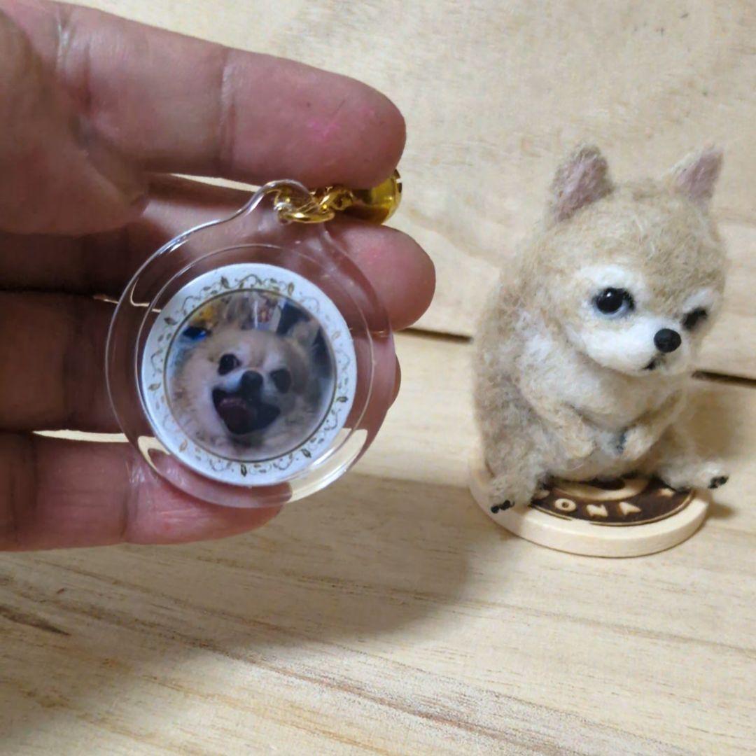 苔アートmana出品 豆猫PECO-LIN