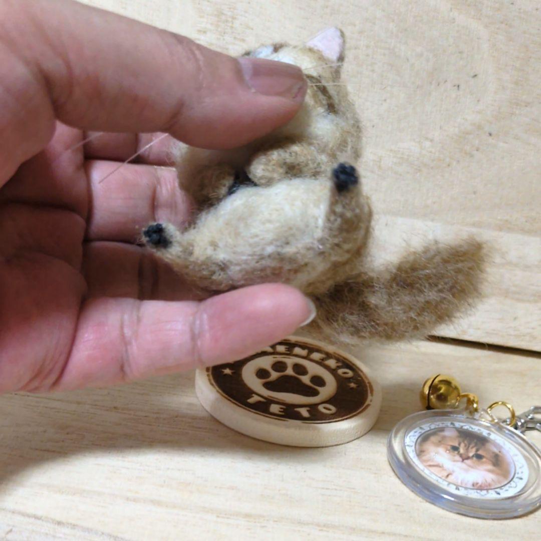 苔アートmana出品 豆猫PECO-LIN