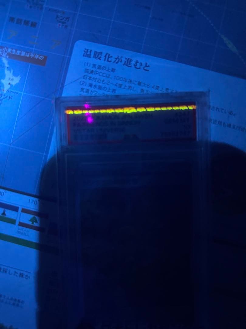 シンオウの仲間たちSR 247/172 PSA10