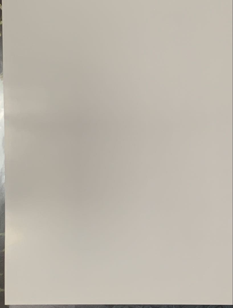 【B2】 バイオハザード RE4 販促 非売品 ポスター リメイク