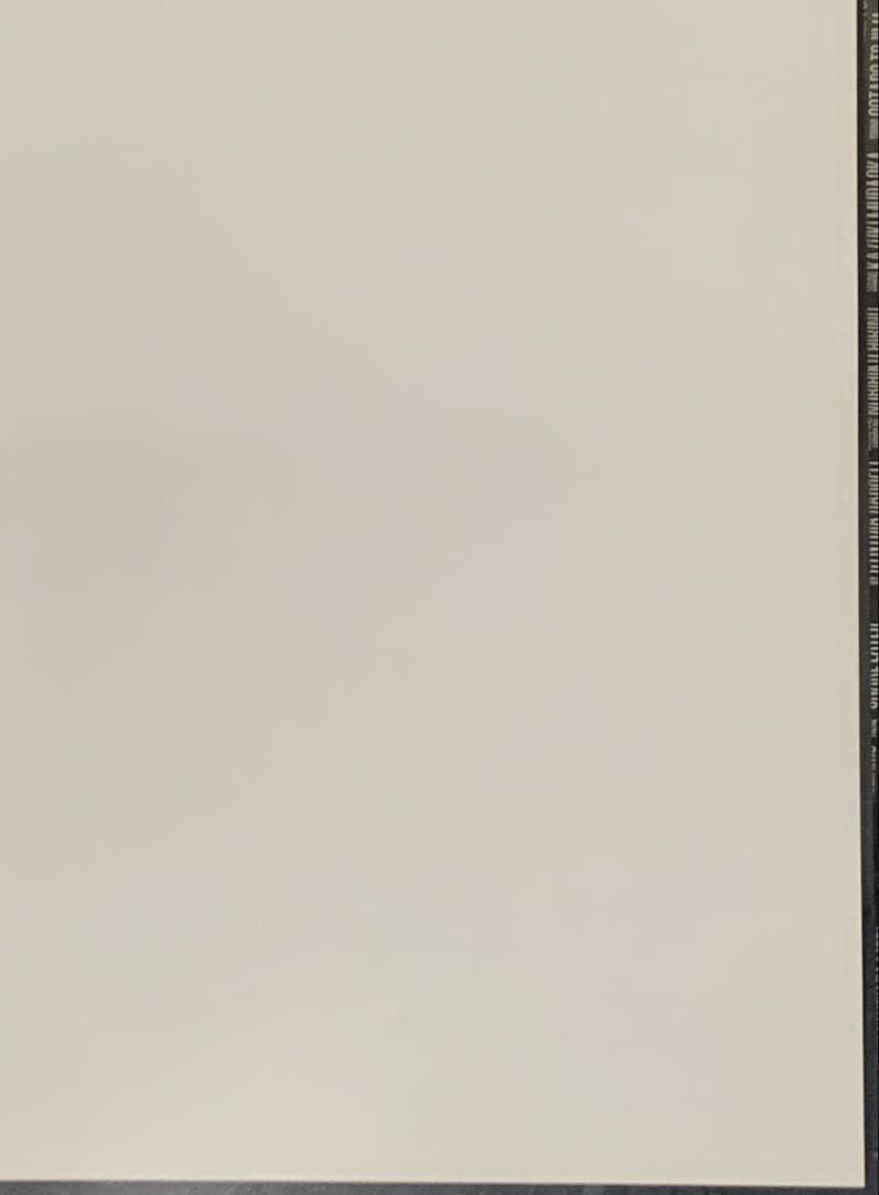 【B2】 バイオハザード RE4 販促 非売品 ポスター リメイク