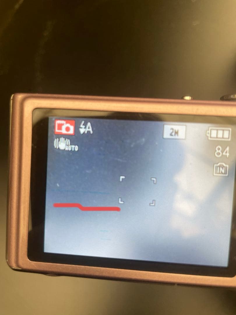 Panasonic LUMIX DMC-FX40 ピンク