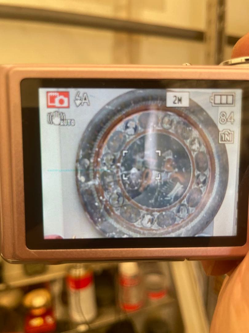 Panasonic LUMIX DMC-FX40 ピンク