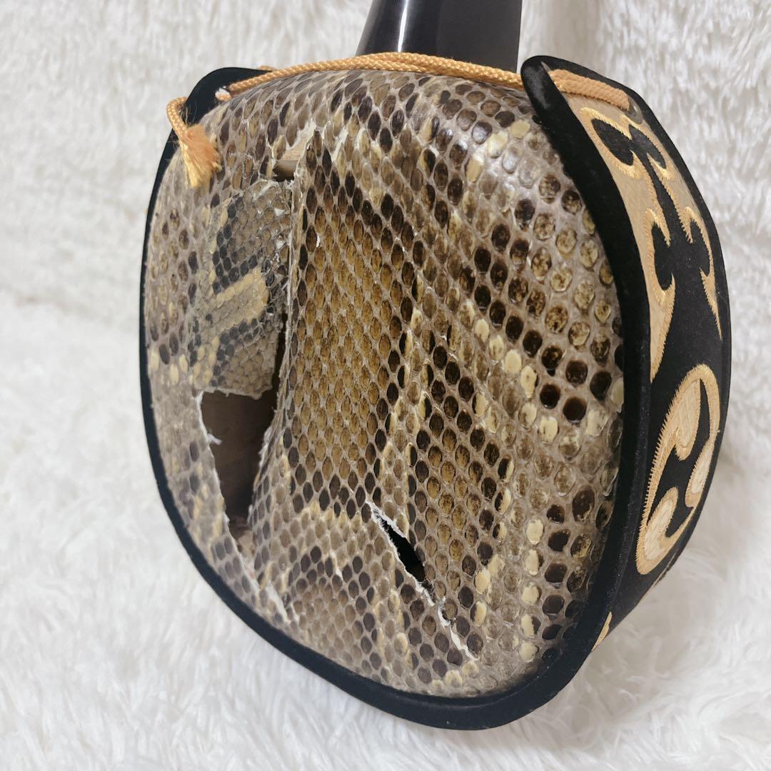 沖縄三線 本皮 一枚張り 本張り ソフトケース、爪、弦セット