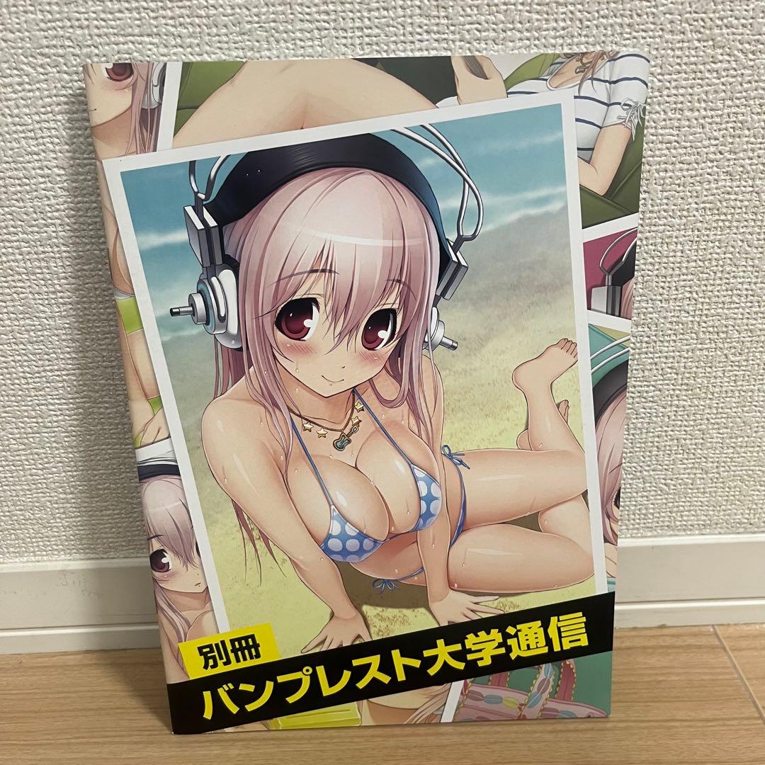 【おまけ付】すーぱーそに子 一番くじ A賞 きゃんぱすらいふ フィギュア