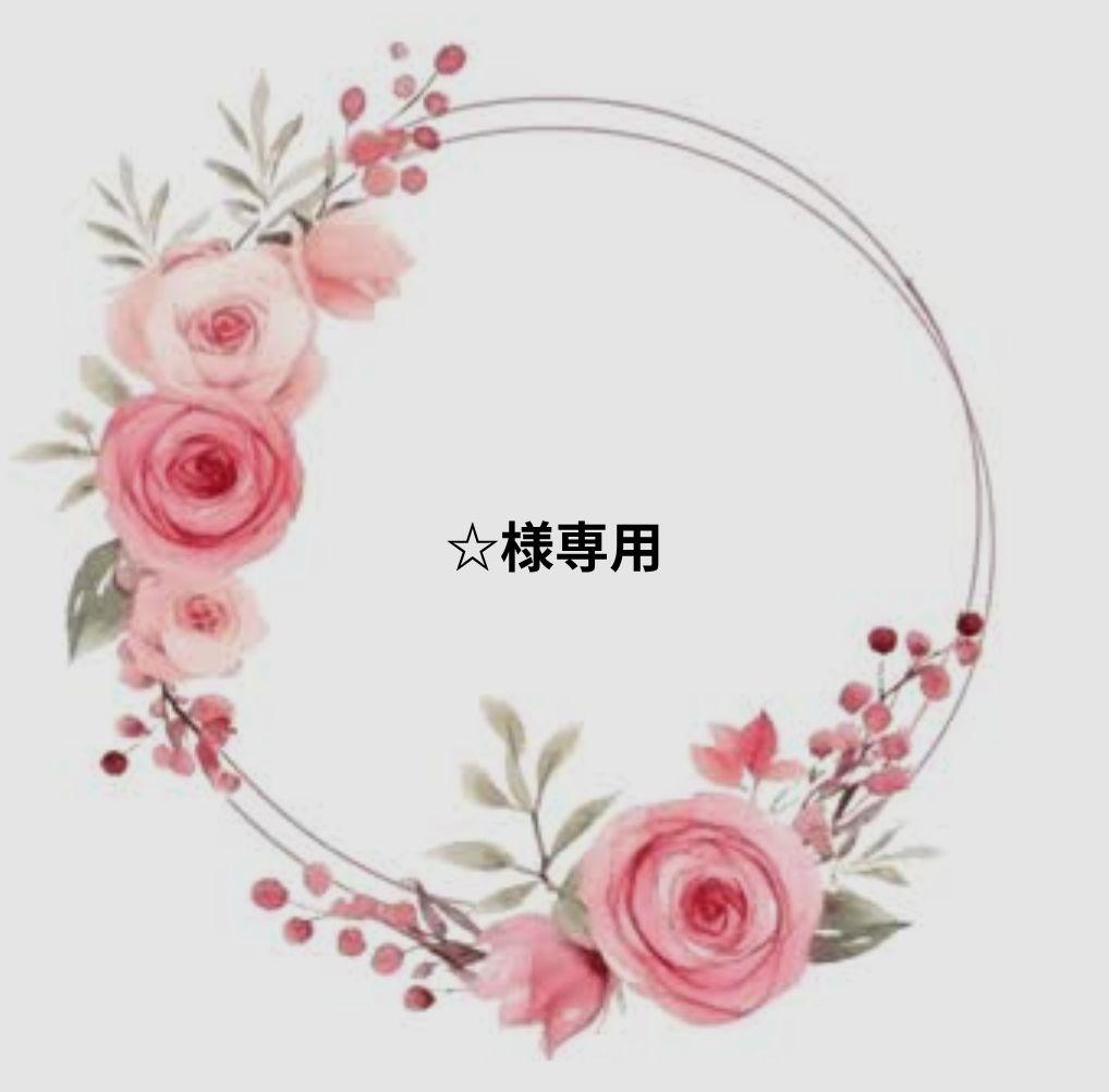 ☆　ミニミニトートバッ2 点セット