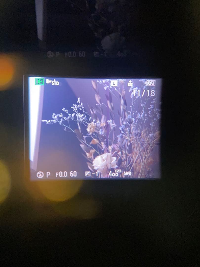 LUMIX G1 ミラーレス一眼　オリンパスアダプタ　タムロン　28-70マクロ