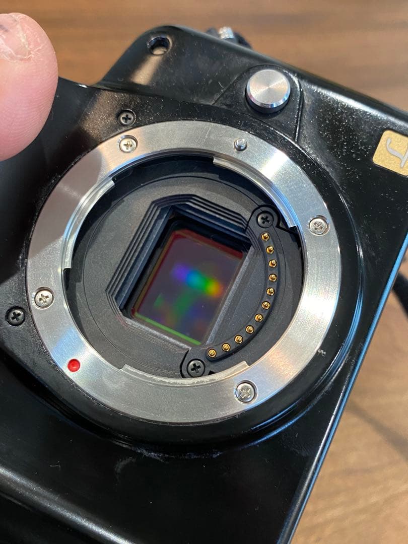 LUMIX G1 ミラーレス一眼　オリンパスアダプタ　タムロン　28-70マクロ