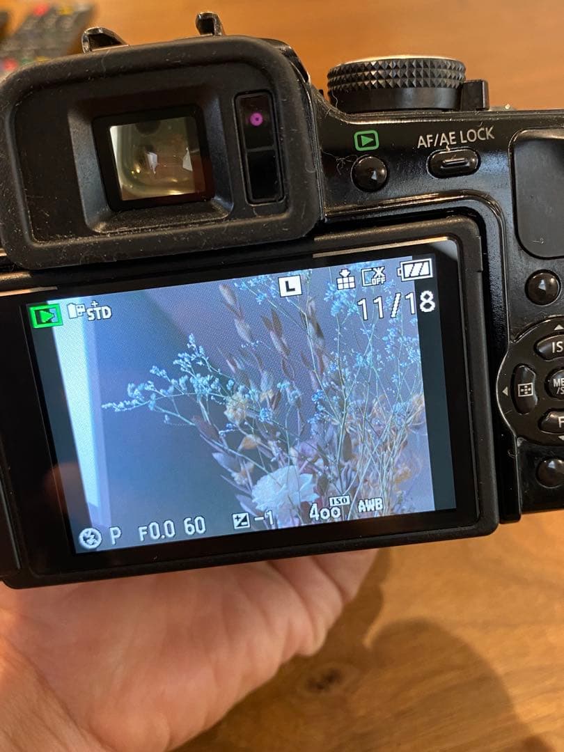 LUMIX G1 ミラーレス一眼　オリンパスアダプタ　タムロン　28-70マクロ