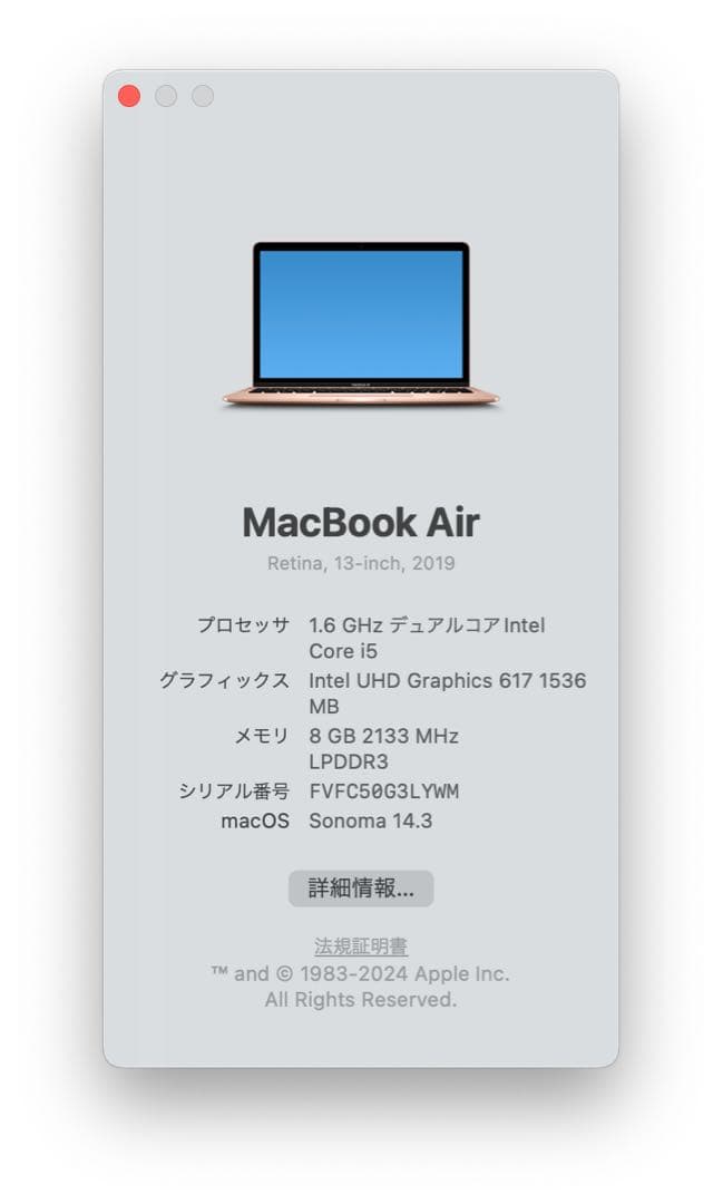 MacBook Air 13-インチ2019 8GB/256GB SSD