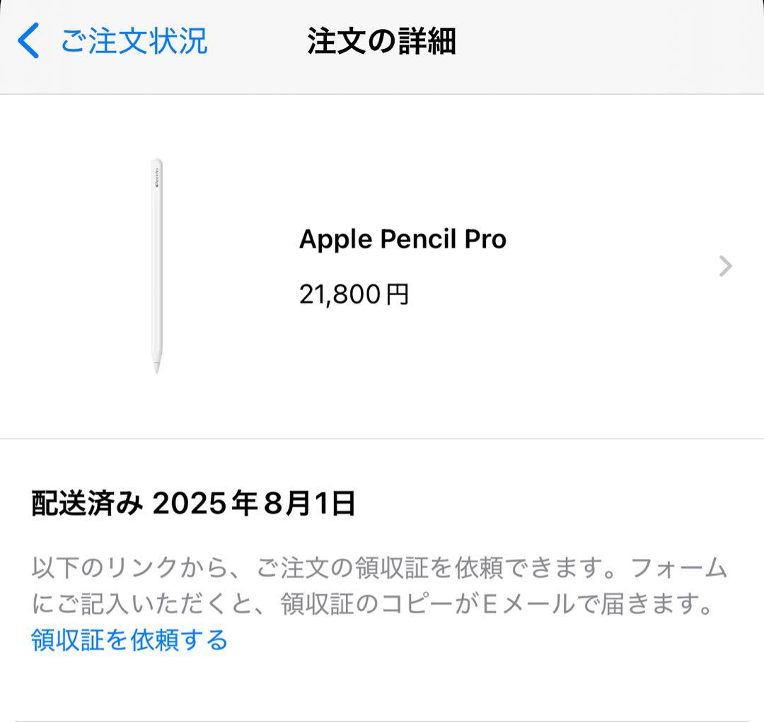 Apple 純正iPad pencil pro 新品未使用箱付き