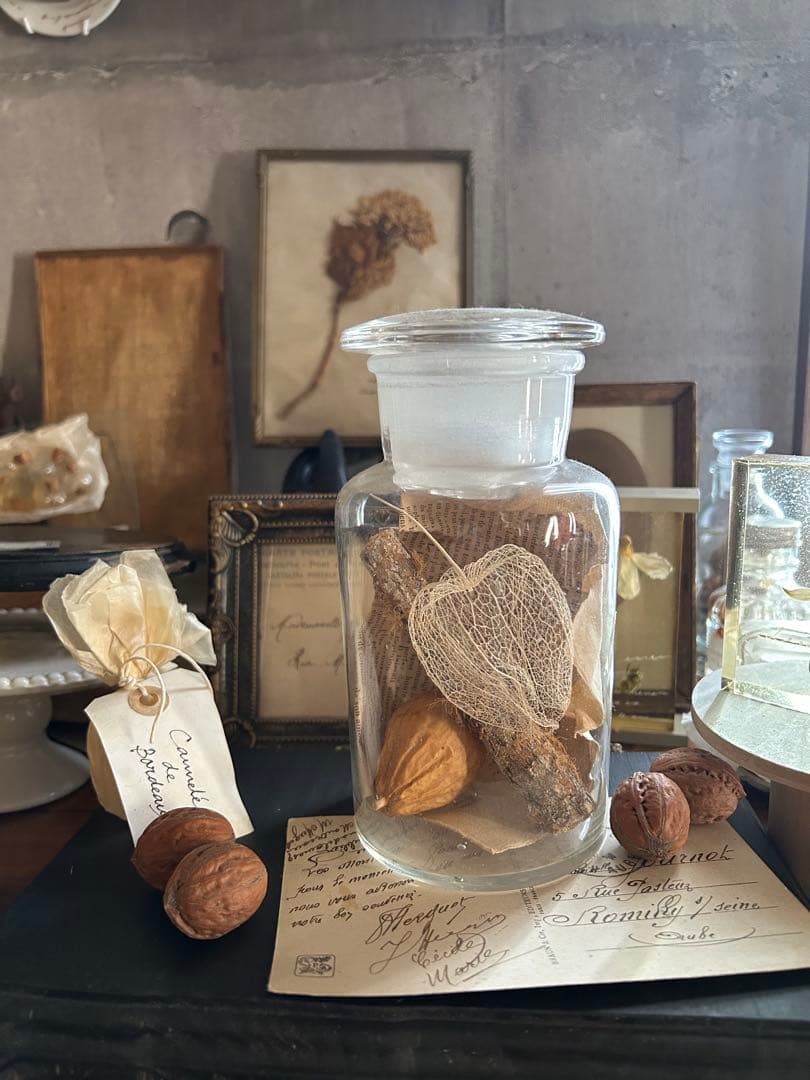 ヴィンテージ 薬品瓶 透かしほおずき 烏瓜 苔付き木 標本瓶 古道具