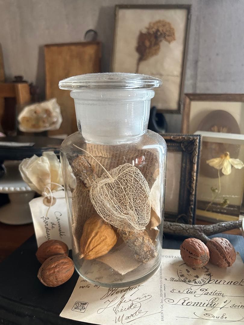 ヴィンテージ 薬品瓶 透かしほおずき 烏瓜 苔付き木 標本瓶 古道具