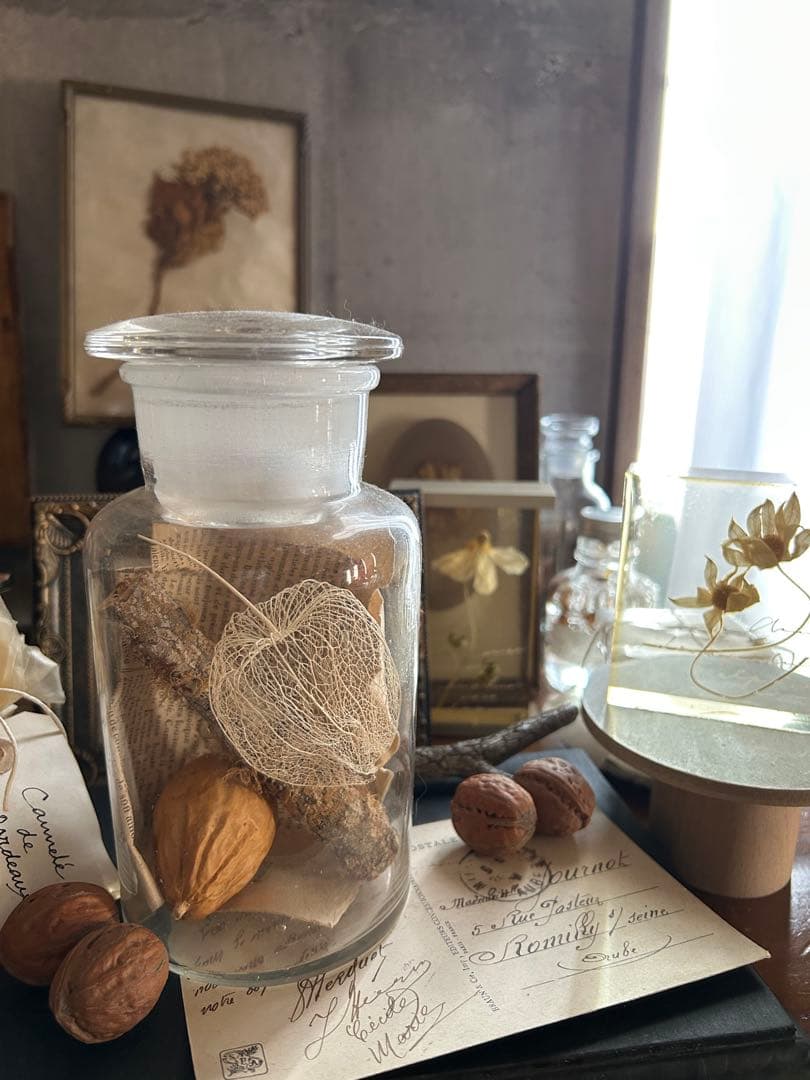 ヴィンテージ 薬品瓶 透かしほおずき 烏瓜 苔付き木 標本瓶 古道具