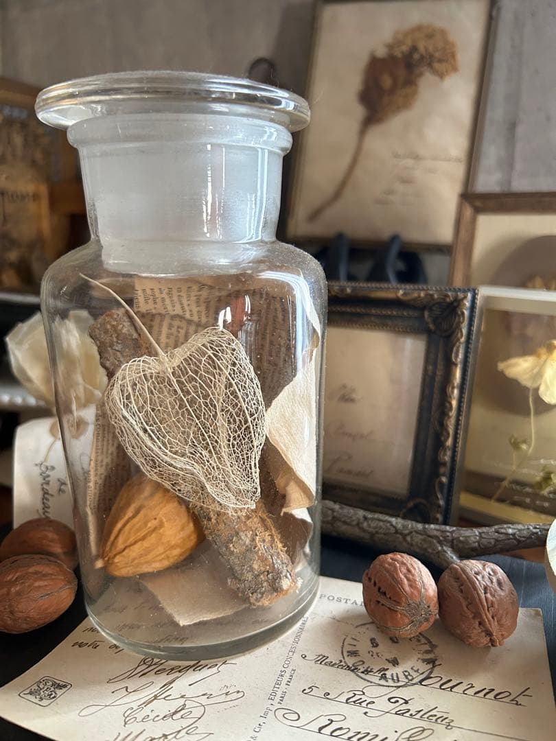 ヴィンテージ 薬品瓶 透かしほおずき 烏瓜 苔付き木 標本瓶 古道具