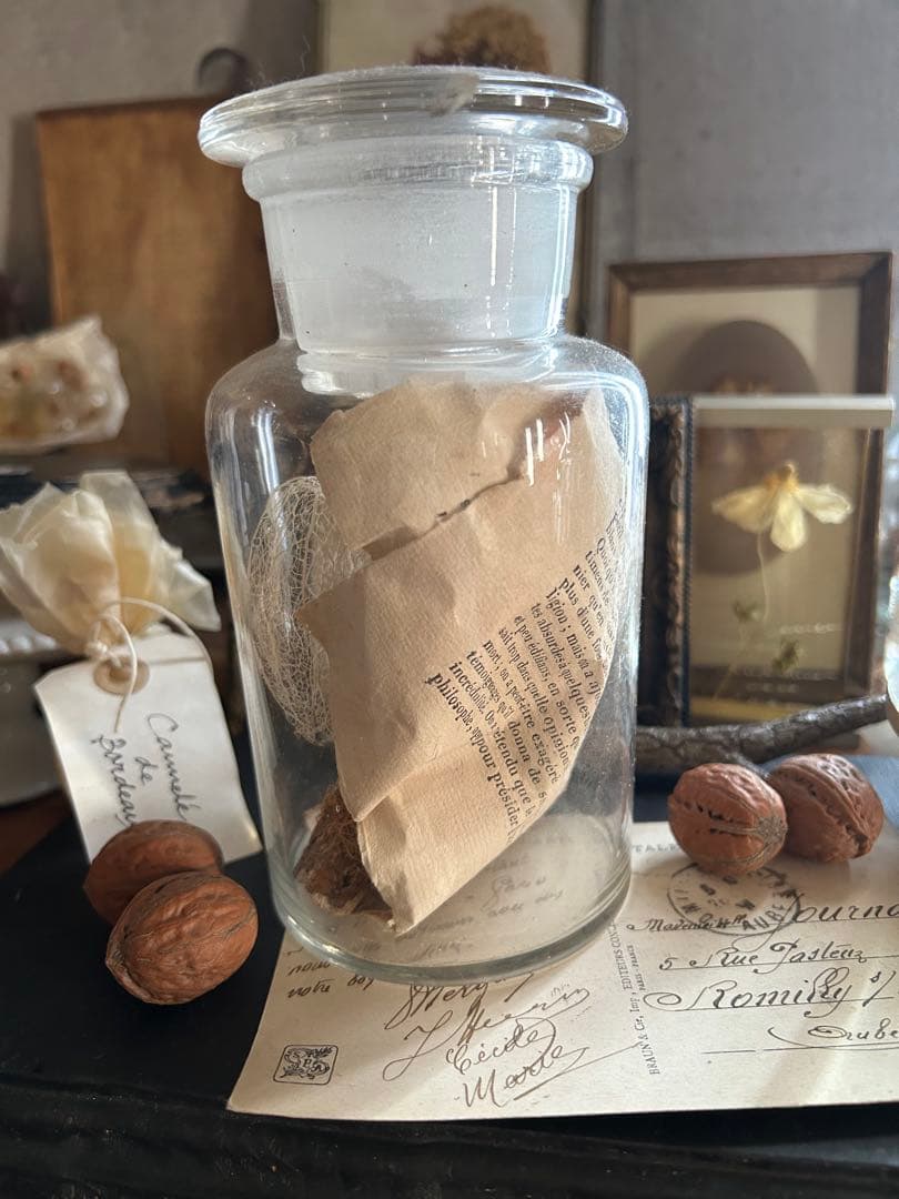 ヴィンテージ 薬品瓶 透かしほおずき 烏瓜 苔付き木 標本瓶 古道具